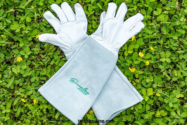 Rose Pruning Gloves by Exemplary Gardens